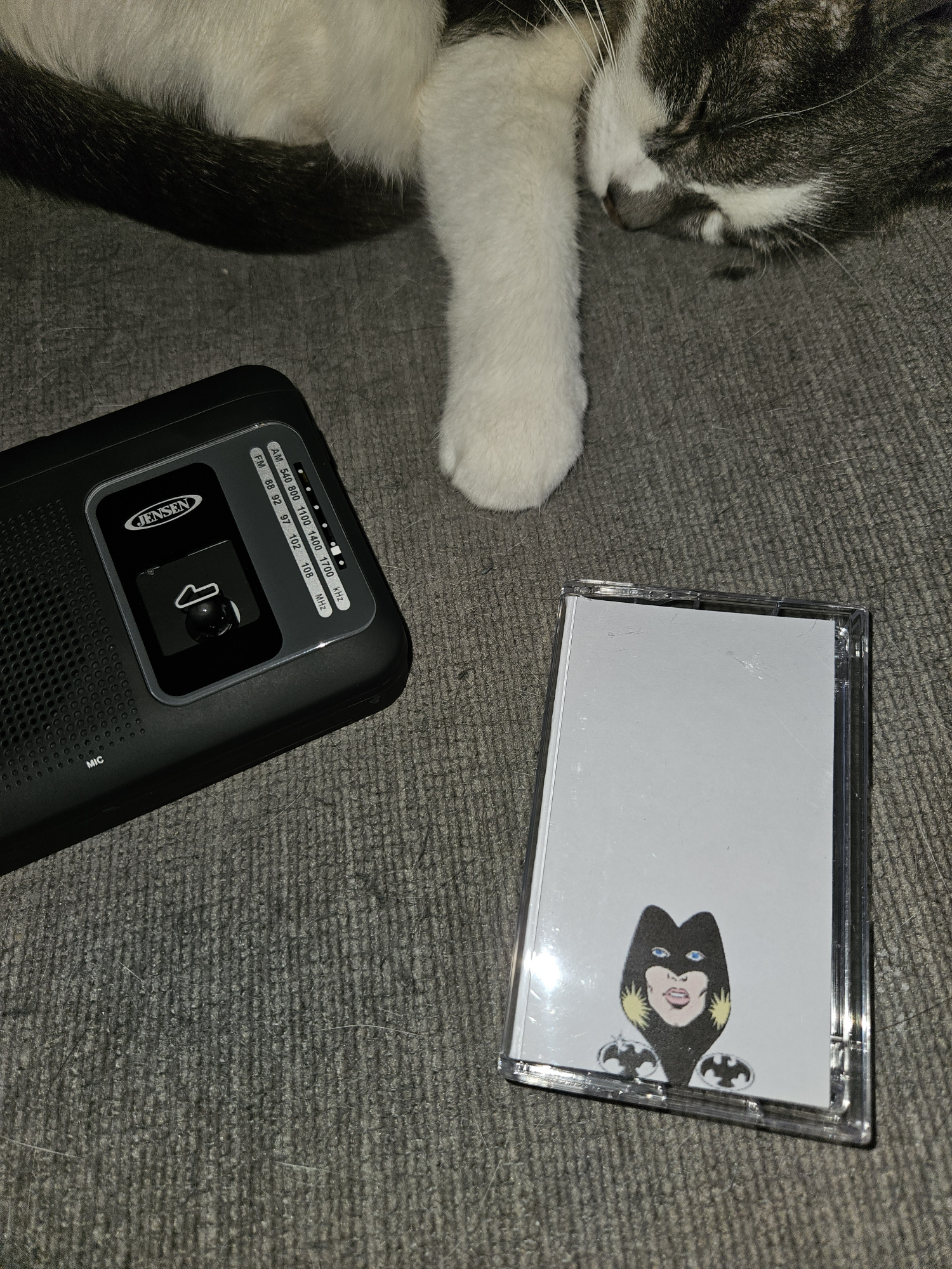 photo of my cat sleeping on a couch with my cassette player and a custom mixtape themed after raven from new teen titans in front of her, the tape j-card is an edited panel of raven in the new teen titans comics