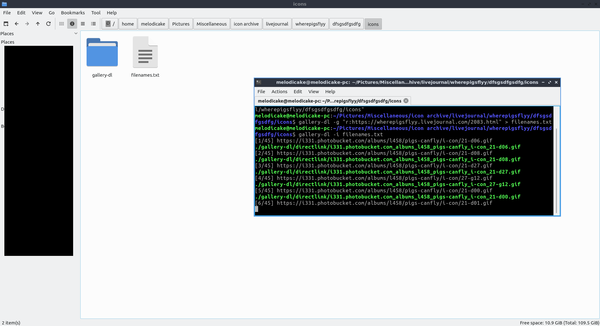 full screenshot of my file browser with a terminal window over it. the folder in view is empty besides a gallery-dl folder and a text file called "filenames.txt". the terminal window shows the command in the current step being ran, and subsequently the gallery-dl output in progress